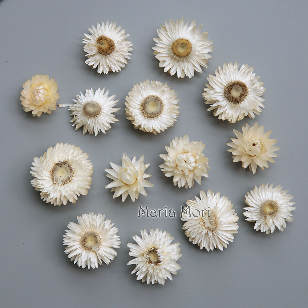 Event Supplies - Natuurlijke Gedroogde Kleurrijke Chrysanthemum Krans Handgemaakte